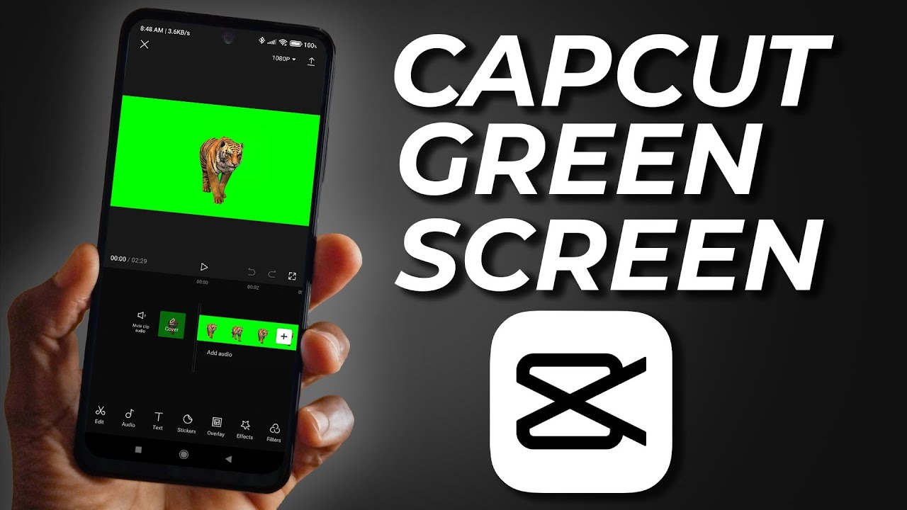 How to Use Green Screen on Capcut