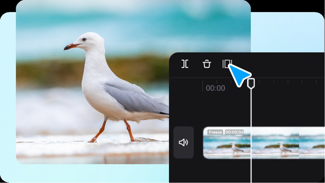how to freeze frame in capcut 1724955868